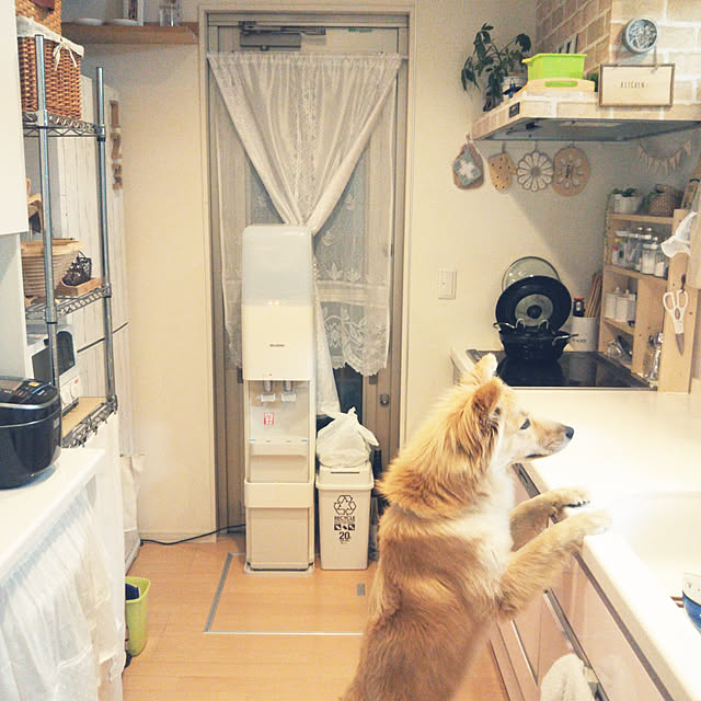 kaoriさんの実例写真