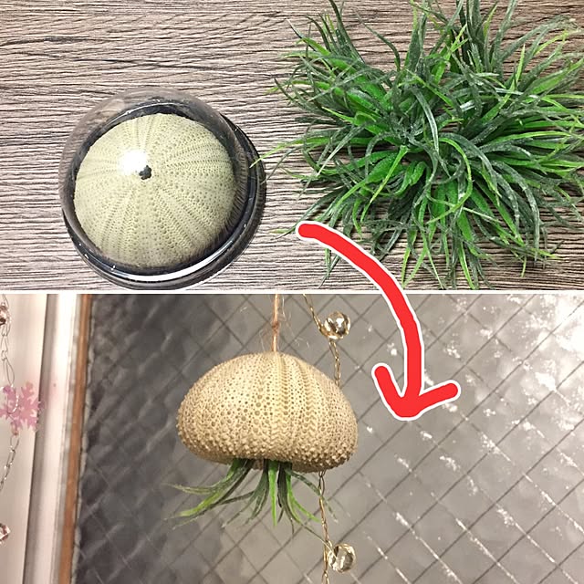 picoさんの実例写真
