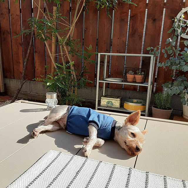 soaさんの実例写真