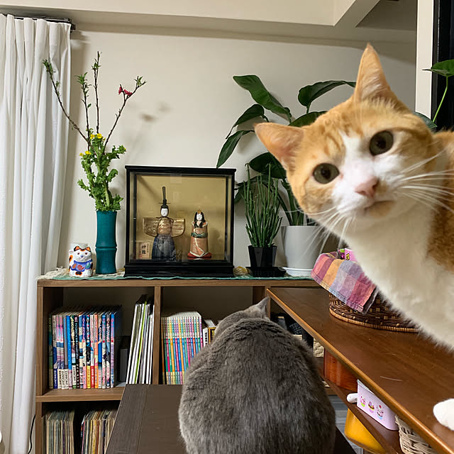 73さんの実例写真