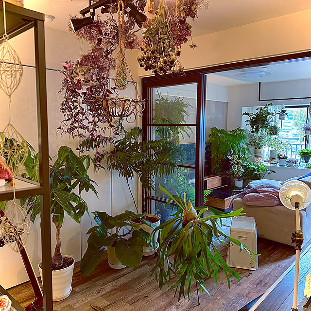 壁/天井/花/ガーデニング雑貨/花のある暮らし/癒しスペース...などのインテリア実例 - 2024-02-18 22:00:46