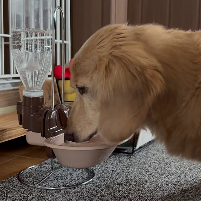 ponponcooさんの部屋