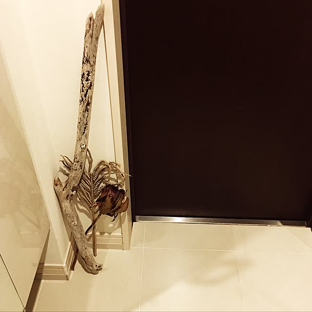 Youさんの実例写真