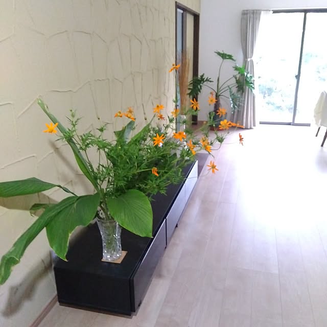 coco1204さんの部屋