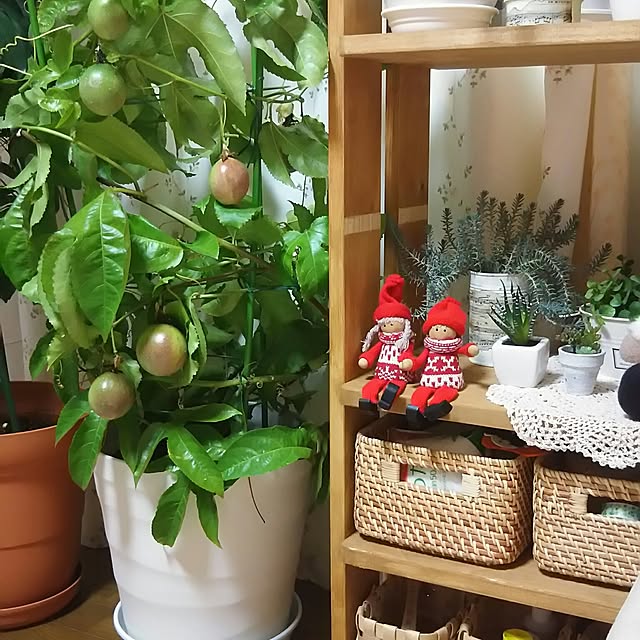 naopyiさんの実例写真