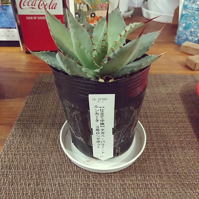 NAOKIさんの部屋