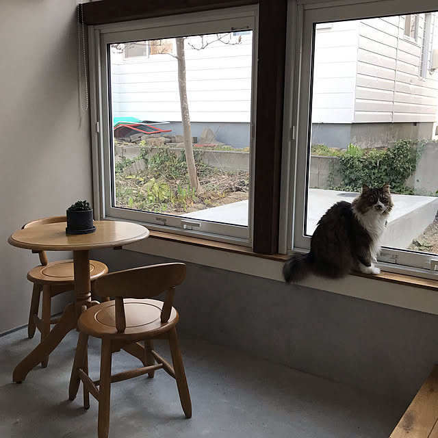 実例写真