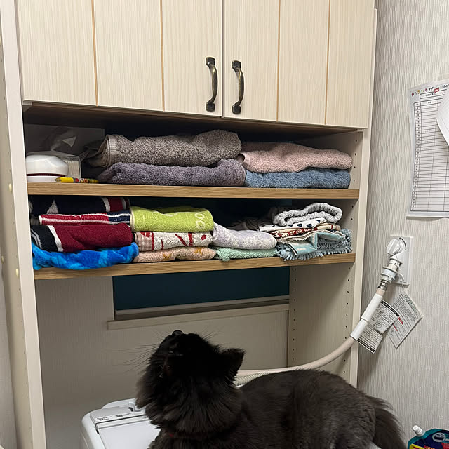 chocoeggさんの実例写真