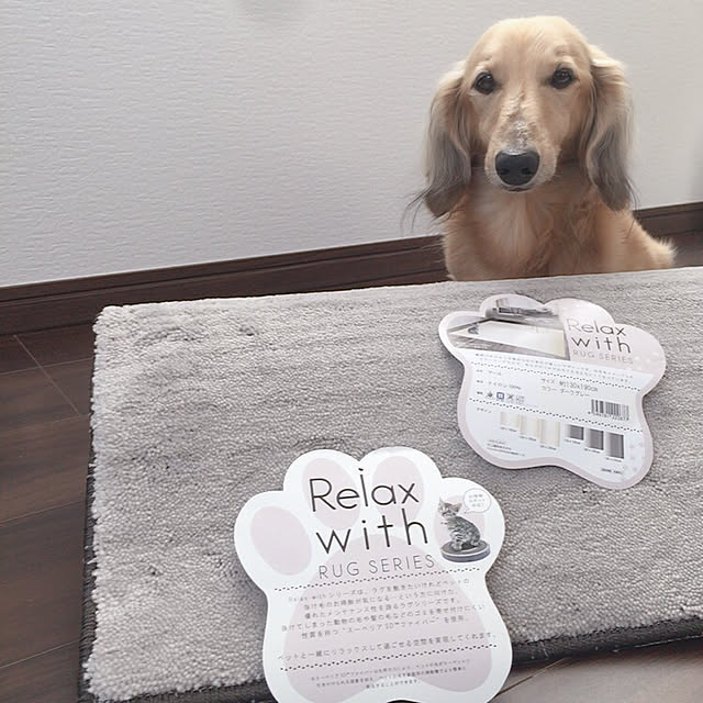 Tomo...NSR...さんの実例写真