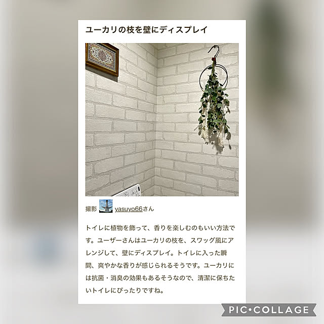 yasuyo66さんの実例写真