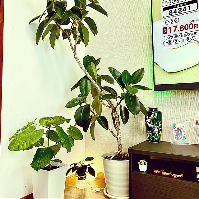yangjunling999さんの実例写真
