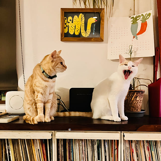 tomorinさんの実例写真