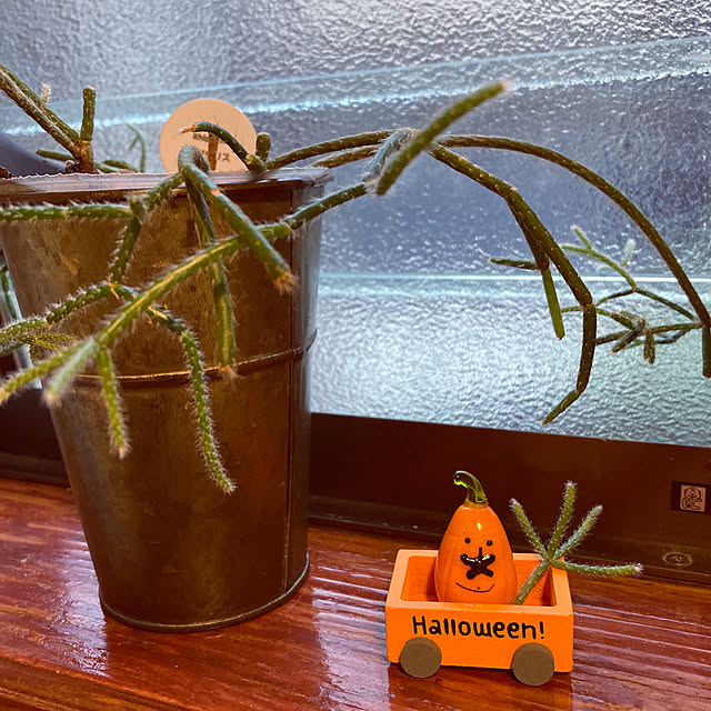 mimichankさんの実例写真