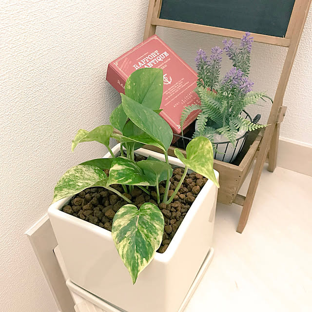 n77370さんの実例写真
