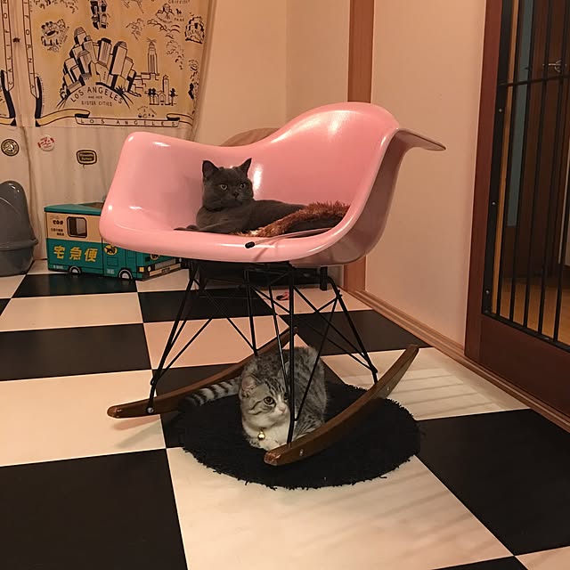 Shojiさんの実例写真