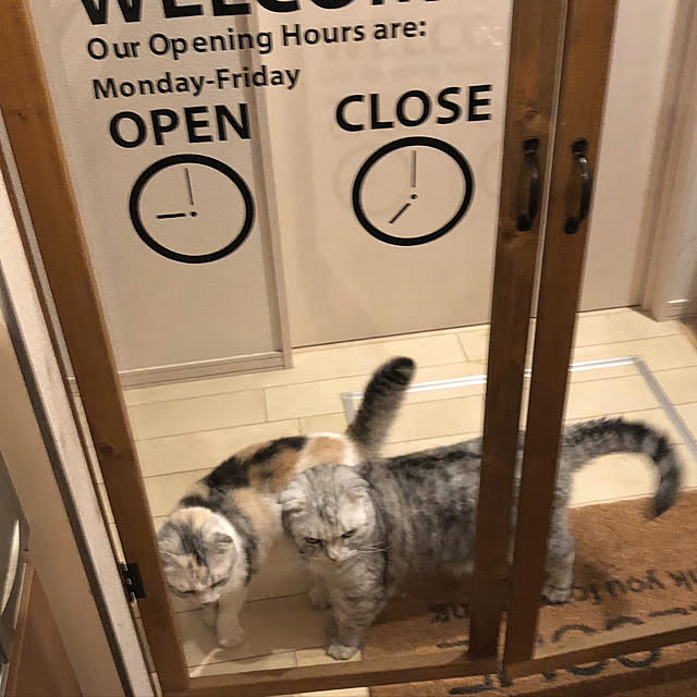 yokkochanさんの実例写真