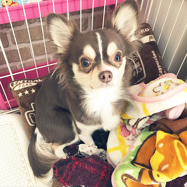 HANAさんの実例写真
