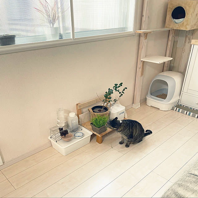 t-famさんの実例写真