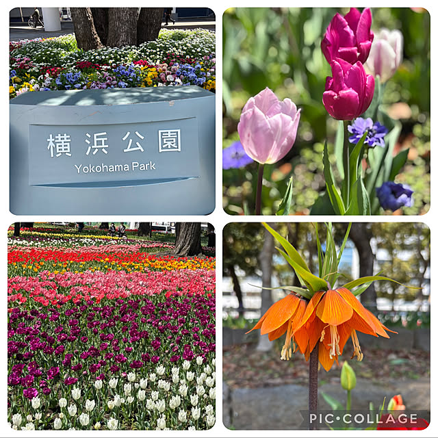 syutmmさんの部屋