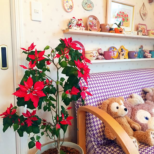 HappyRoseさんの実例写真