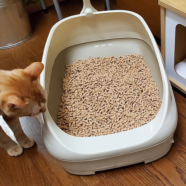 ayapissさんの部屋