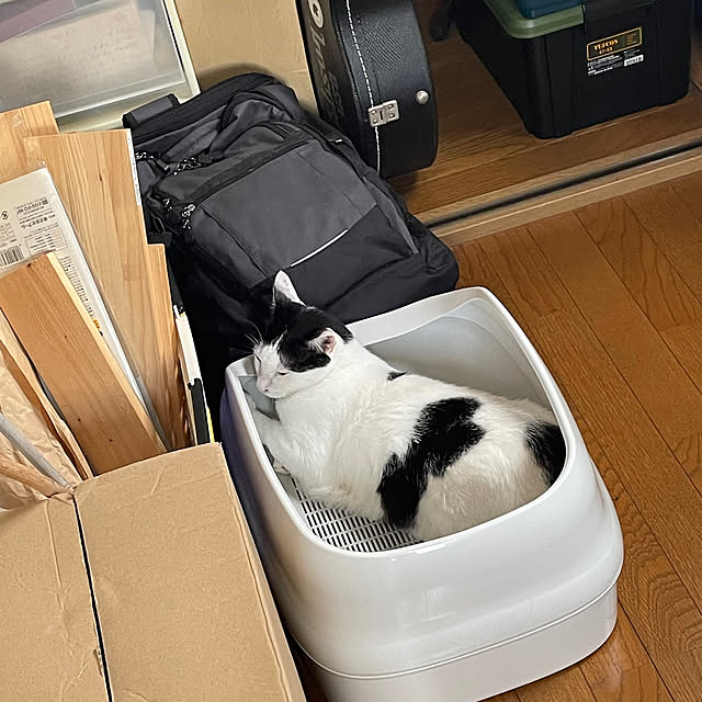nobikoさんの部屋
