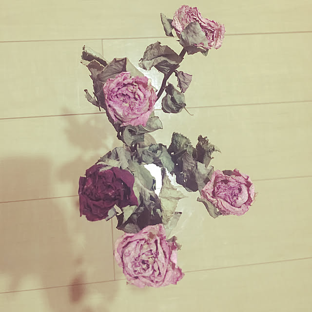 reiさんの実例写真