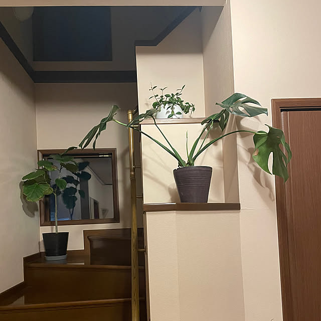 実例写真