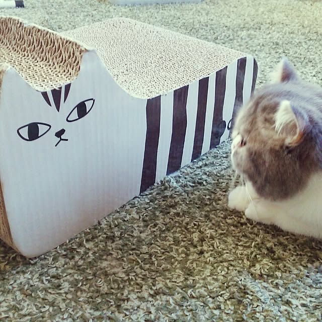 otoさんの実例写真