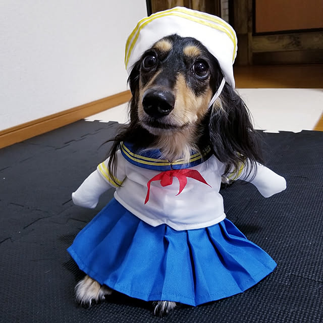momozouさんの実例写真