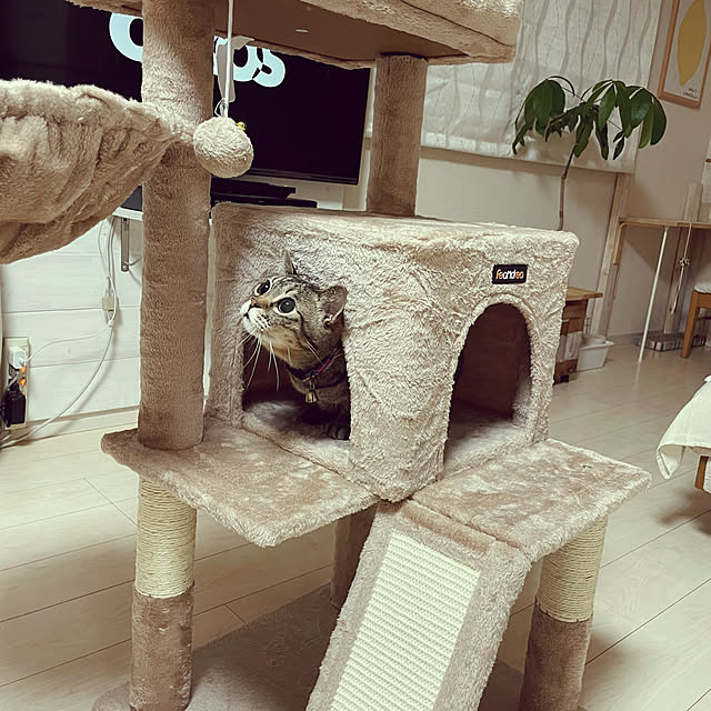 t-famさんの部屋