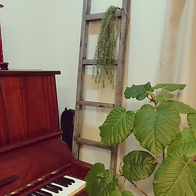 renrinmamaさんの実例写真