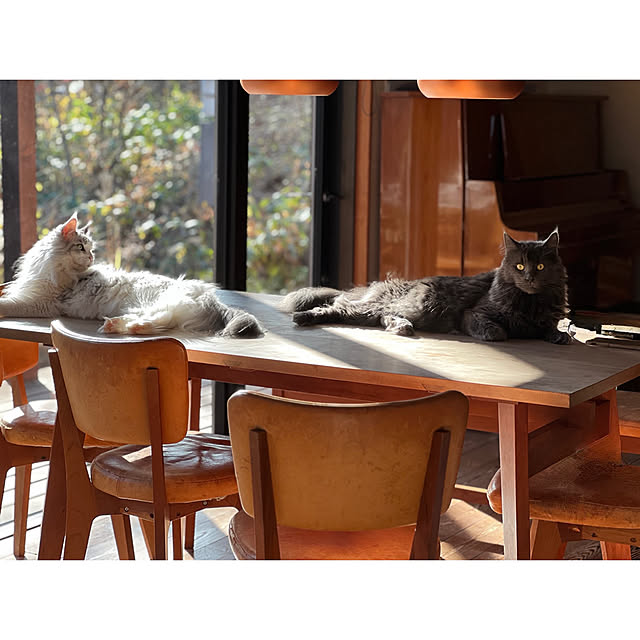 Kikko.さんの部屋