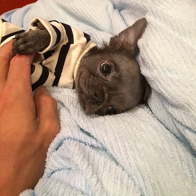 naeさんの実例写真