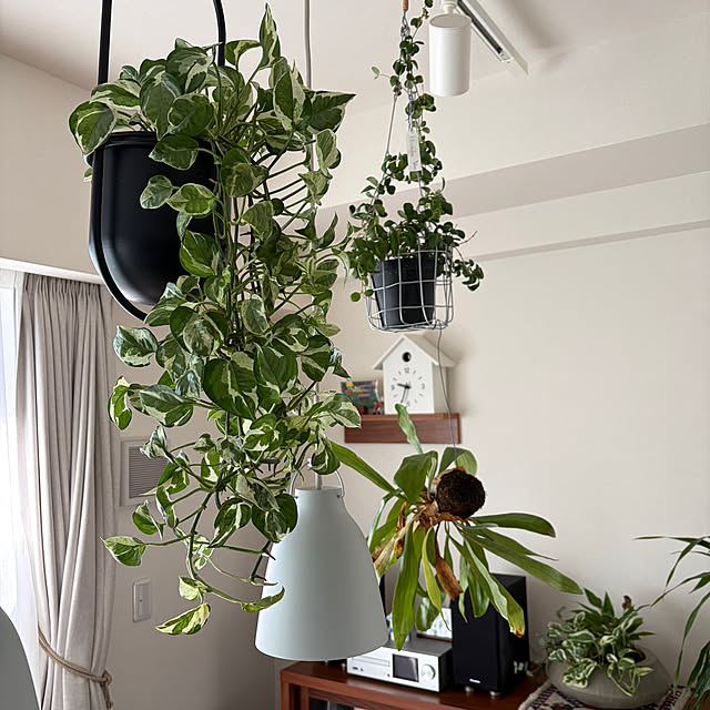 carocaroさんの実例写真