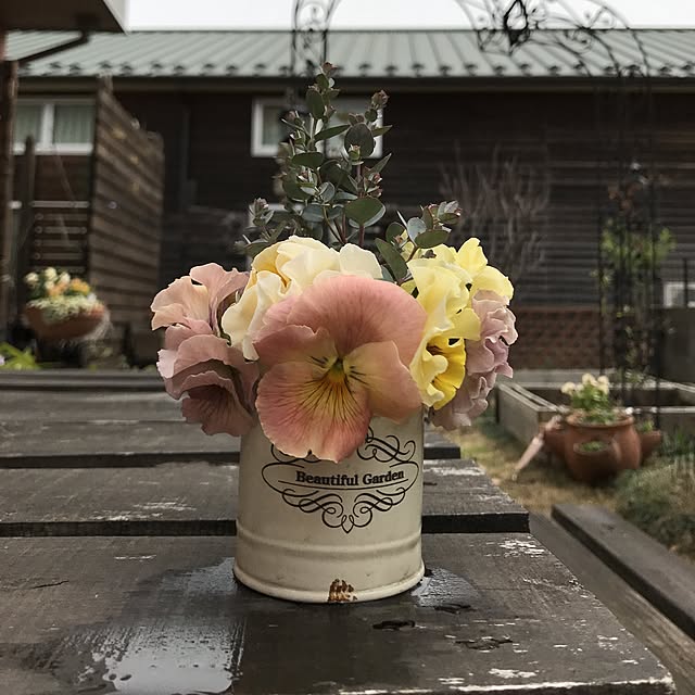 実例写真