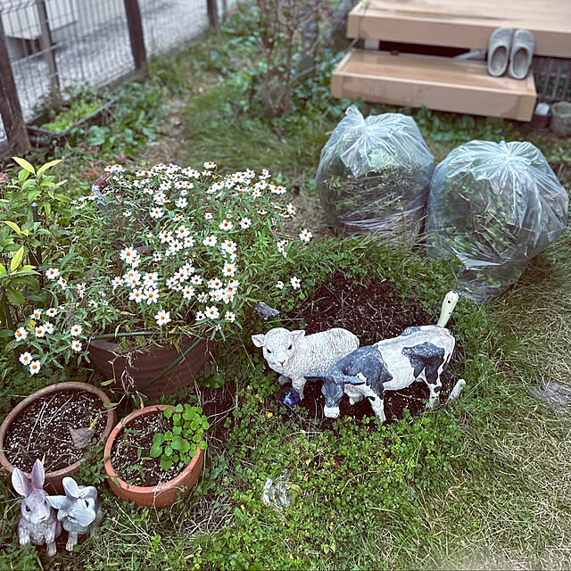 daycyさんの実例写真