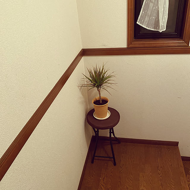 観葉植物/ニトリ/部屋全体のインテリア実例 - 2021-09-10 22:03:22