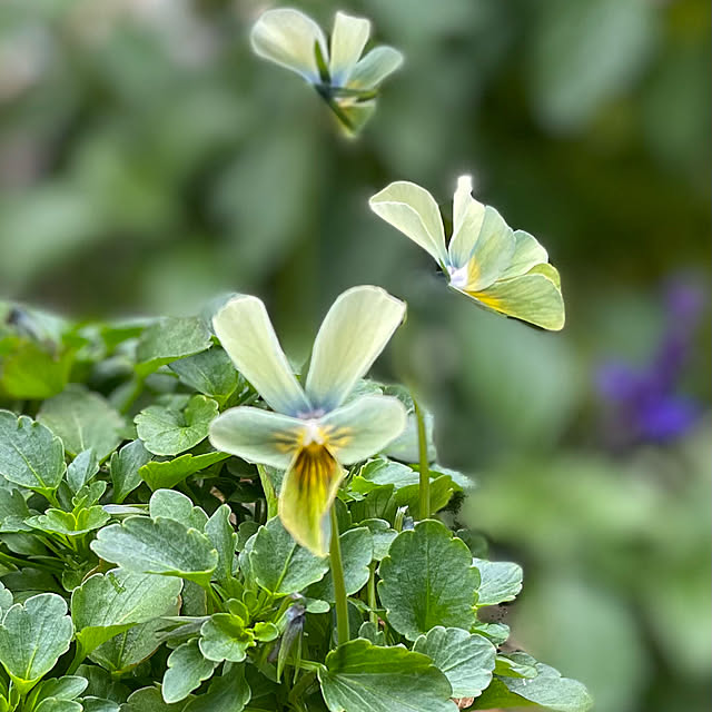 buchiさんの実例写真