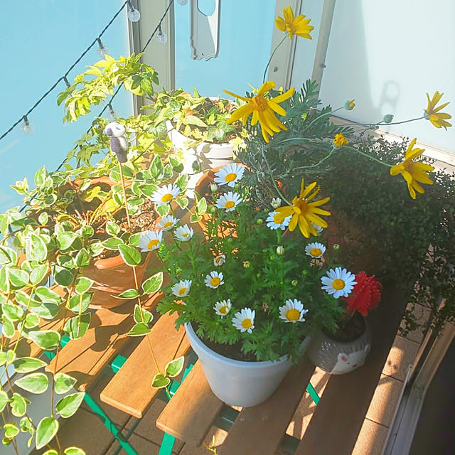 marinaさんの実例写真