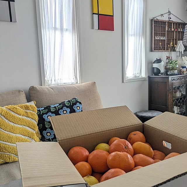 fumitanさんの実例写真