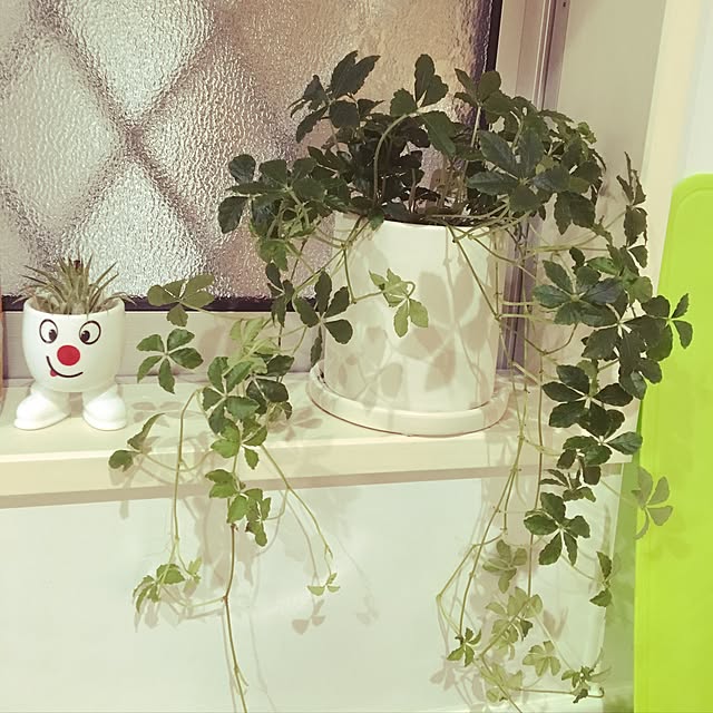 lunamamajunkoさんの実例写真