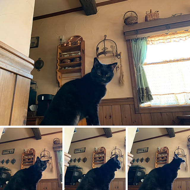tabasaさんの実例写真