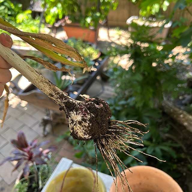 botanさんの部屋