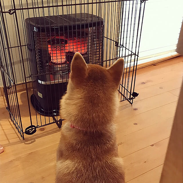 yukuhomeさんの実例写真
