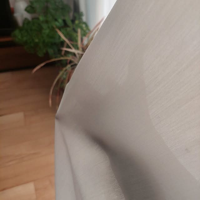 anmomaruさんの部屋