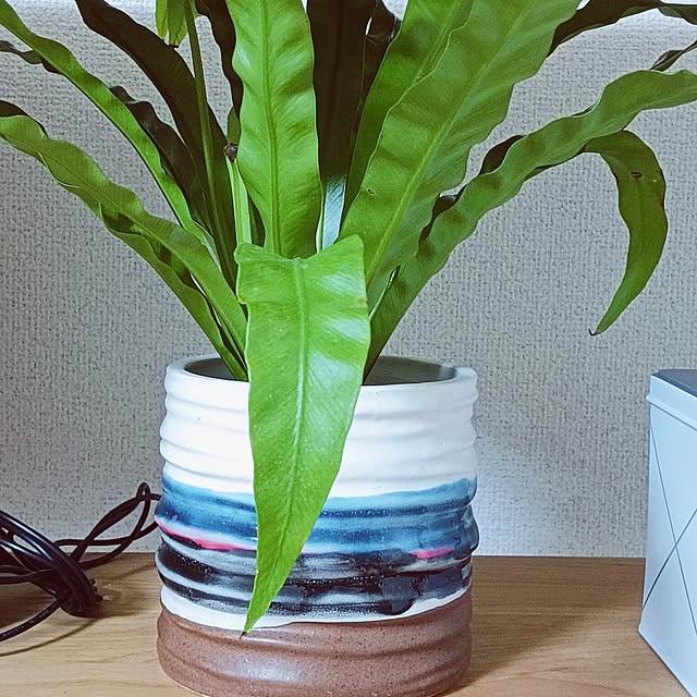 hanachanさんの部屋