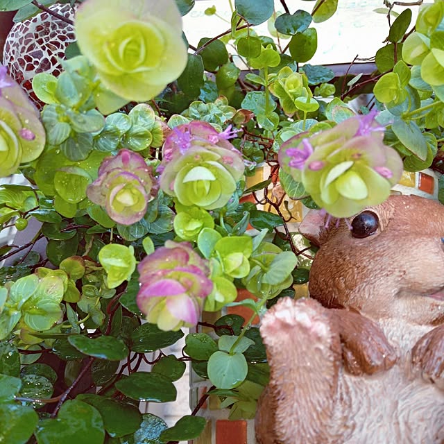 mocomocoさんの実例写真