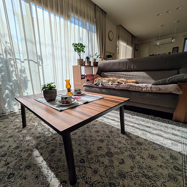 petashiroさんの実例写真