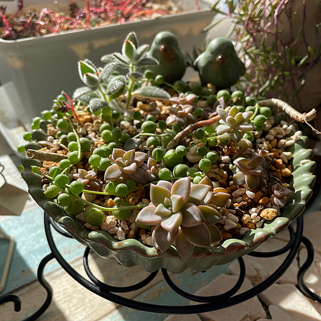 ariari0527さんの実例写真